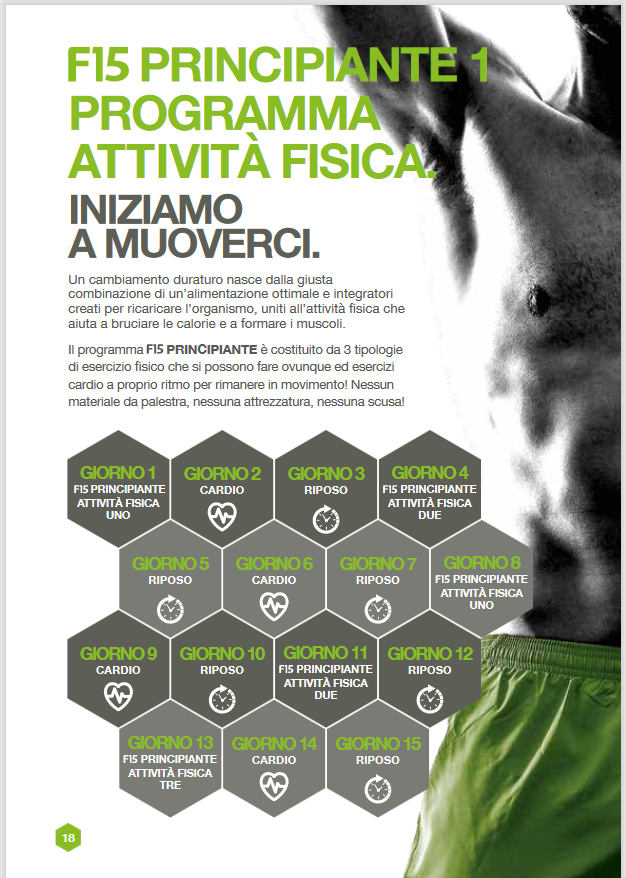 schema attività e riposo f15.png